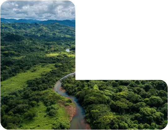 Professional team collaboration